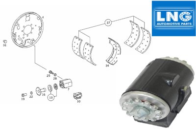 Dorman W71210 Cilindro Della Ruota Per Freno A Tamburo - Ricambio Specifico Con Gomma EPDM